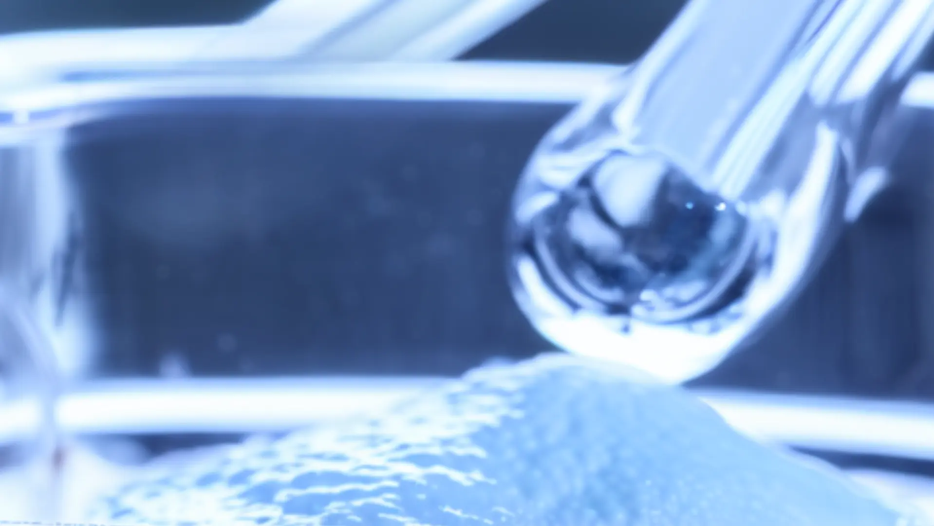 Laboratorio de Formulación Magistral